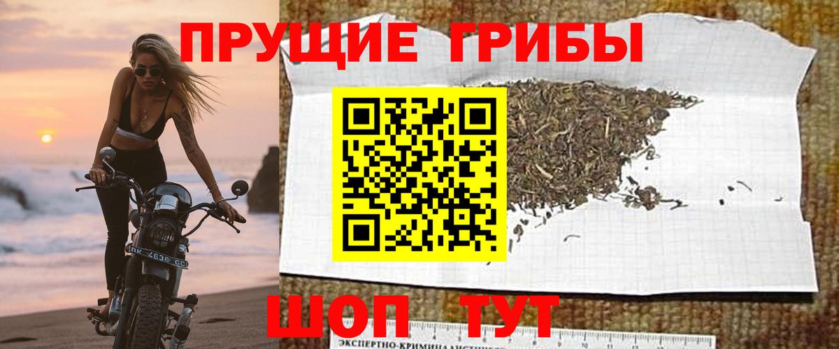 хочу наркоту  Псилоцибиновые грибы ЛСД  Ковров  Вход с VPN  Псилоцибиновые грибы Psilocybe 